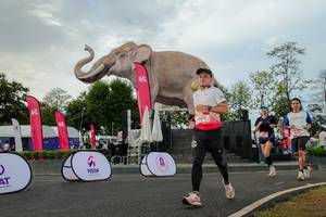 BIB: 
                            <button type="button" onclick="openModal(26528615)" class="btn btn-primary btn-sm float-right btn-popup" data-toggle="modal" data-target=".modal-high-quality">
                        <i class="fas fa-shopping-cart"></i> Add to Cart
                    </button>
                                            <button type="button" onclick="isThisMe(26528615, true)" class="btn btn-success btn-sm float-right btn-popup btn-isme hidden" data-toggle="tooltip" data-placement="bottom" title="นี่คือรูปของคุณใช่ไหม คลิกที่นี่เพื่อเอาเข้าอัลบั้ม">
                        <i class="fas fa-plus"></i> Add to album
                    </button>
                    <button type="button" onclick="isThisMe(26528615, false)" class="btn btn-warning btn-sm float-right btn-popup btn-isnotme hidden">
                        <i class="fas fa-ban"></i> Remove from album
                    </button>